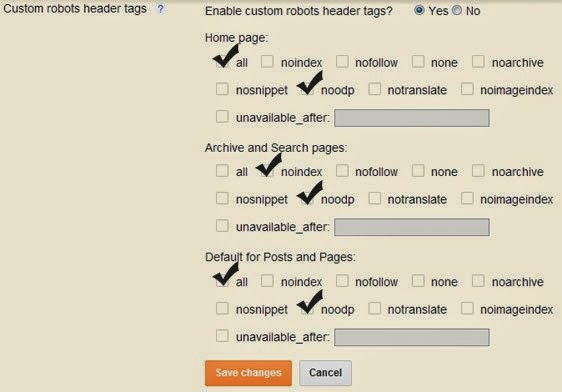 Custom Robots Header Tags 